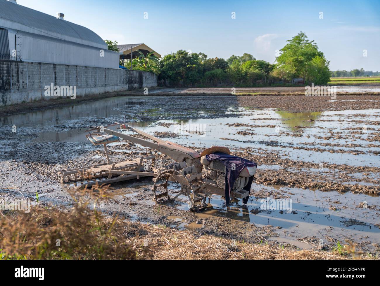 Parcheggiare il trattore nella risaia dopo il relax degli agricoltori in una giornata di mezza giornata. Foto Stock