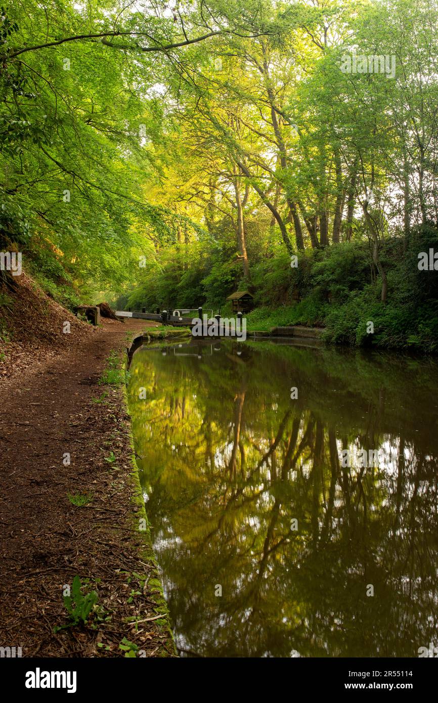 Alberi e porte chiuse a Tyrley Locks sul canale Shropshire Union in Inghilterra. Alberi riflessi in acqua ferma in una mattina di sole Foto Stock