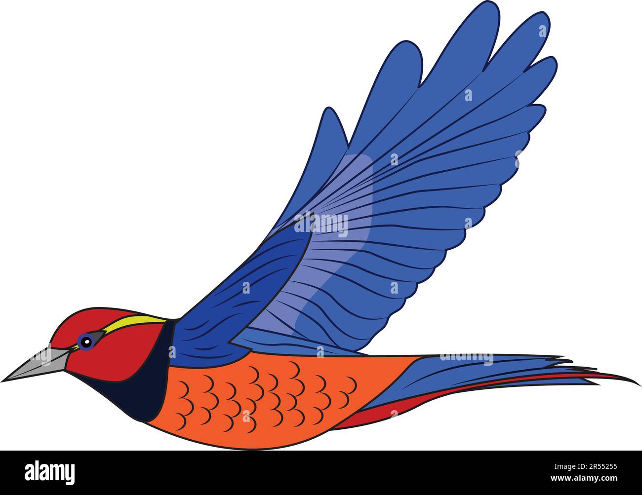 Uccello multicolore che sorvola con Grazia e bellezza in ambiente faunistico Illustrazione Vettoriale Uccello multicolore che sorvola con Grazia e bellezza in ambiente faunistico Illustrazione Vettoriale