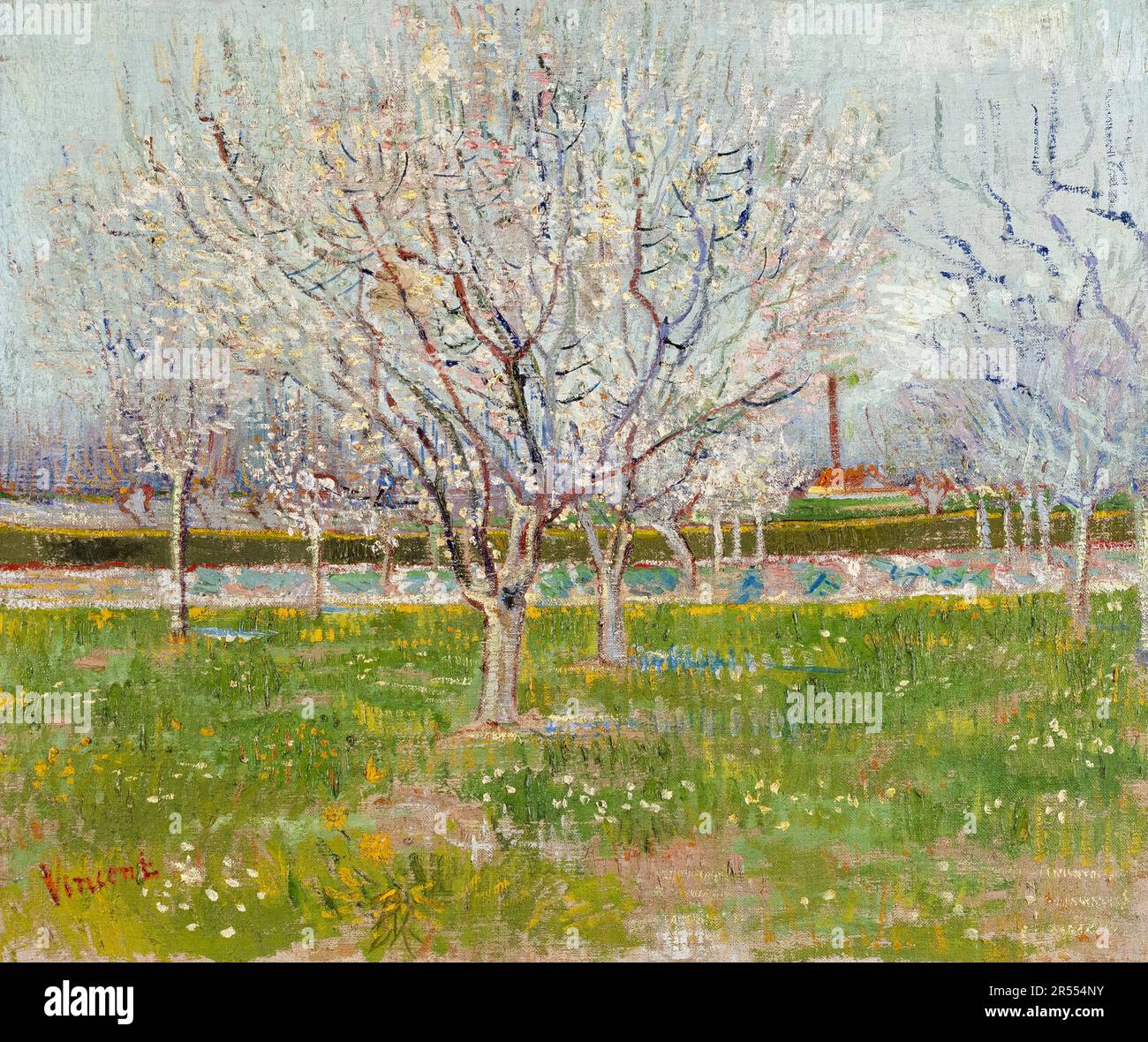 Vincent van Gogh, Orchard in fiore, (alberi di prugne), pittura di paesaggio 1888 Foto Stock