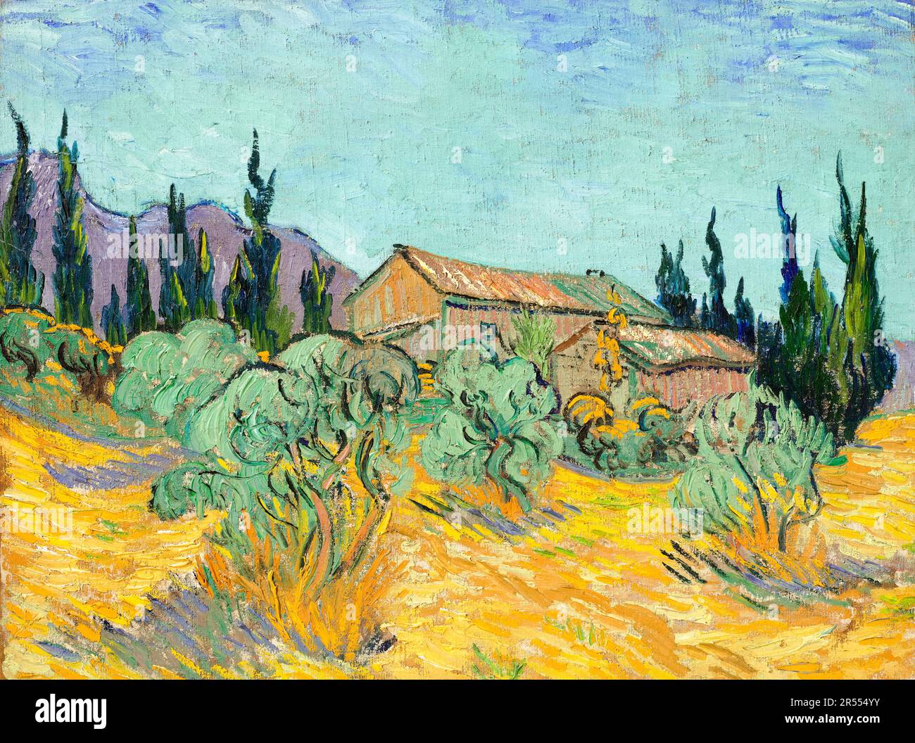 Vincent van Gogh, Casette circondate da ulivi e cipressi, pittura paesaggistica 1889 Foto Stock