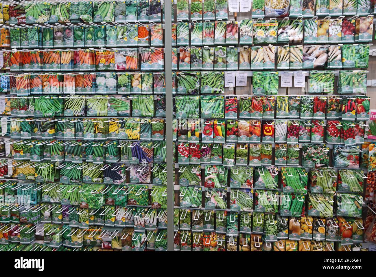 Esposizione di semi in vendita presso il centro giardino Foto Stock