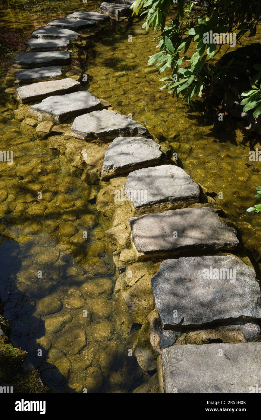 Pietre passo nel Giardino Giapponese a Butchart Gardens, Victoria, Vancouver Island, British Columbia, Canada Foto Stock