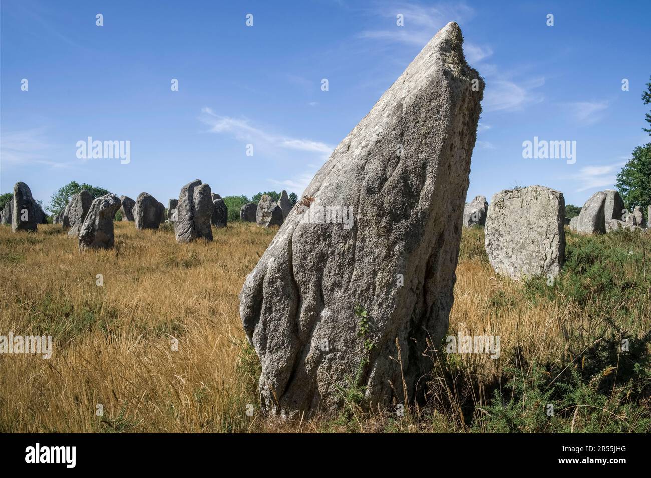 Carnac (Bretagna, Francia nord-occidentale): I Menhir, pietre in piedi Foto Stock