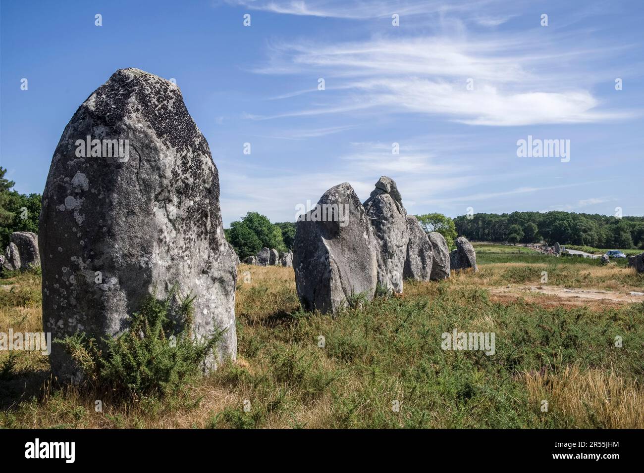 Carnac (Bretagna, Francia nord-occidentale): I Menhir, pietre in piedi Foto Stock