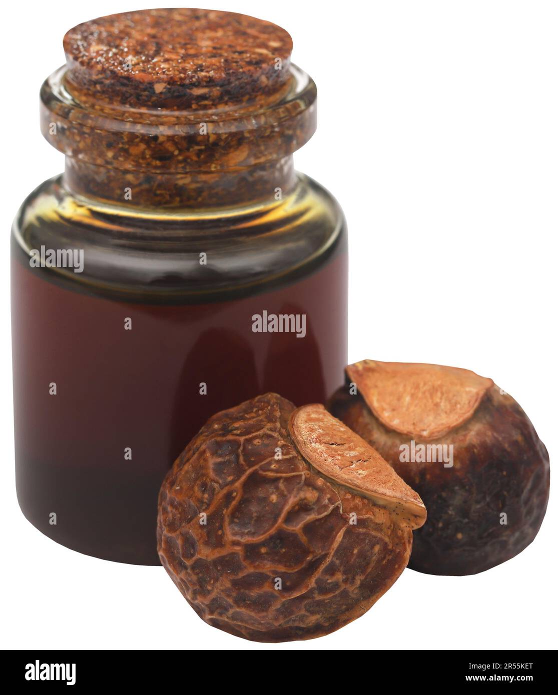 Sapindus mukorossi o soapberry indiano con olio essenziale in bottiglia Foto Stock