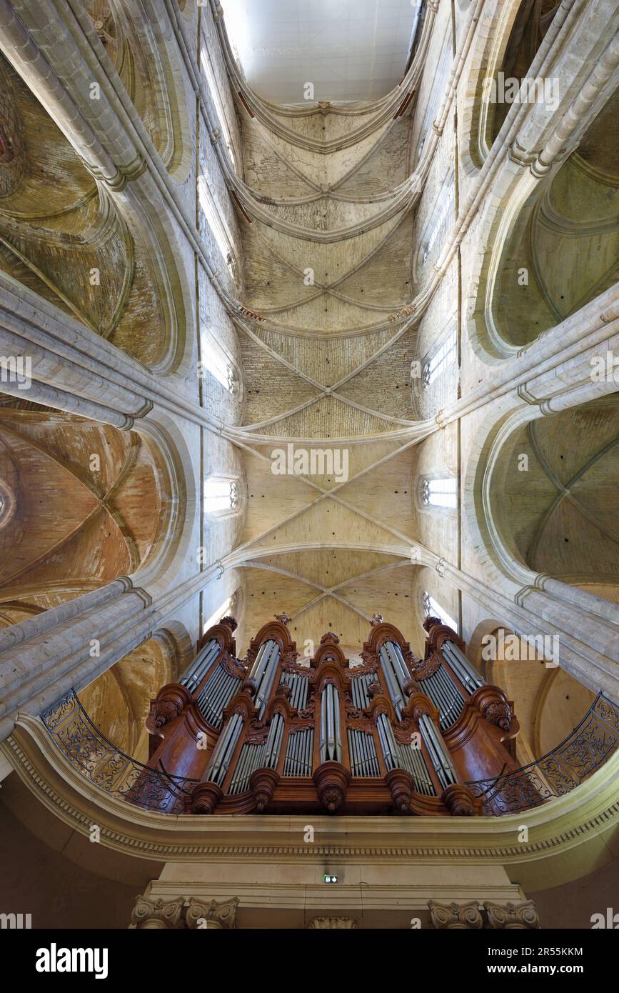 Soffitto a coste e organo di Isnard (1772-74) nella Basilca di Maria Maddalena (C13-16th) o Chiesa di Saint-Maximin-la-Sainte-Baume Maximin Provenza Francia Foto Stock