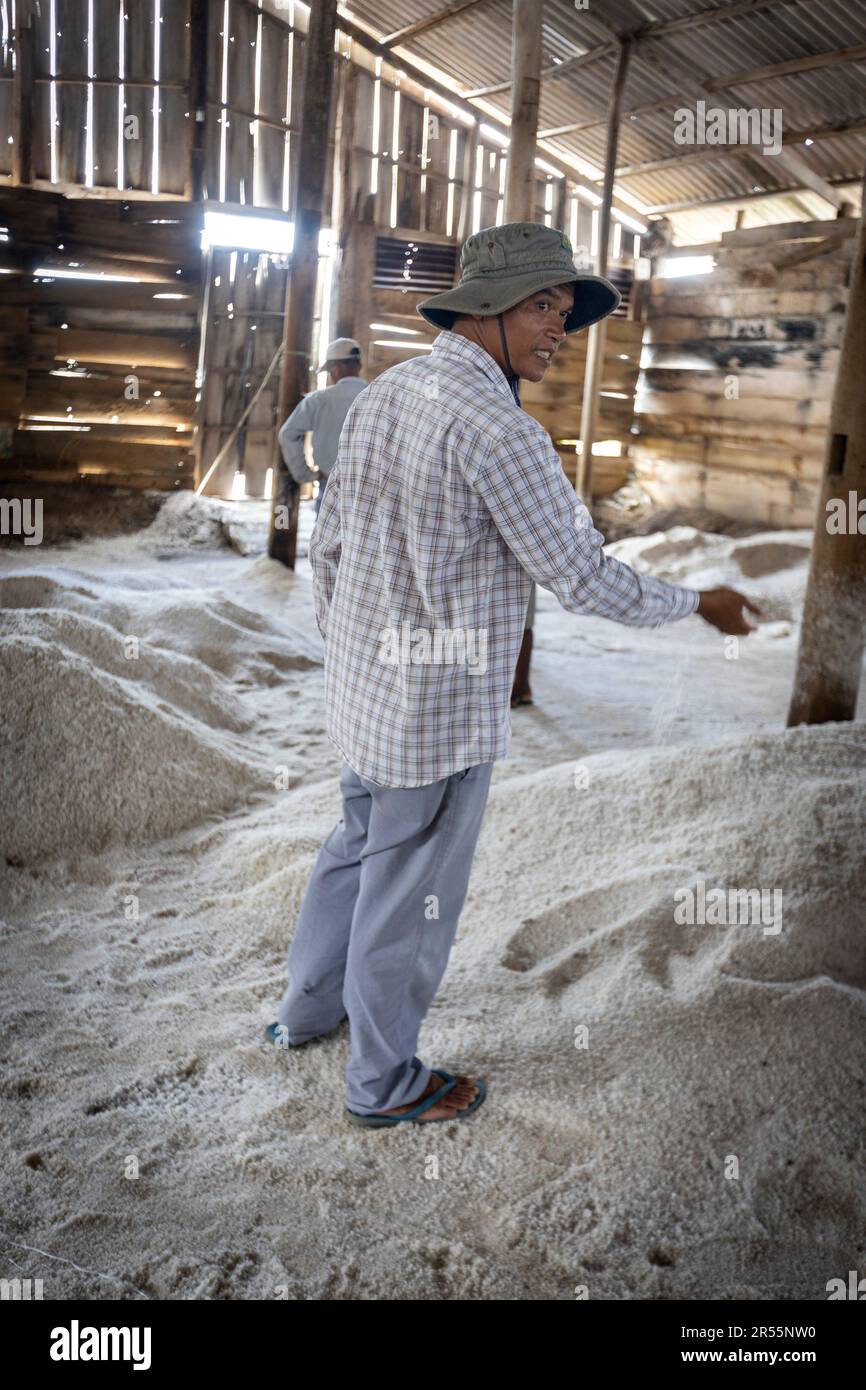 Cambogia: Saline di Kampot. Migliore qualità non raffinato sale acquirenti in un magazzino Foto Stock