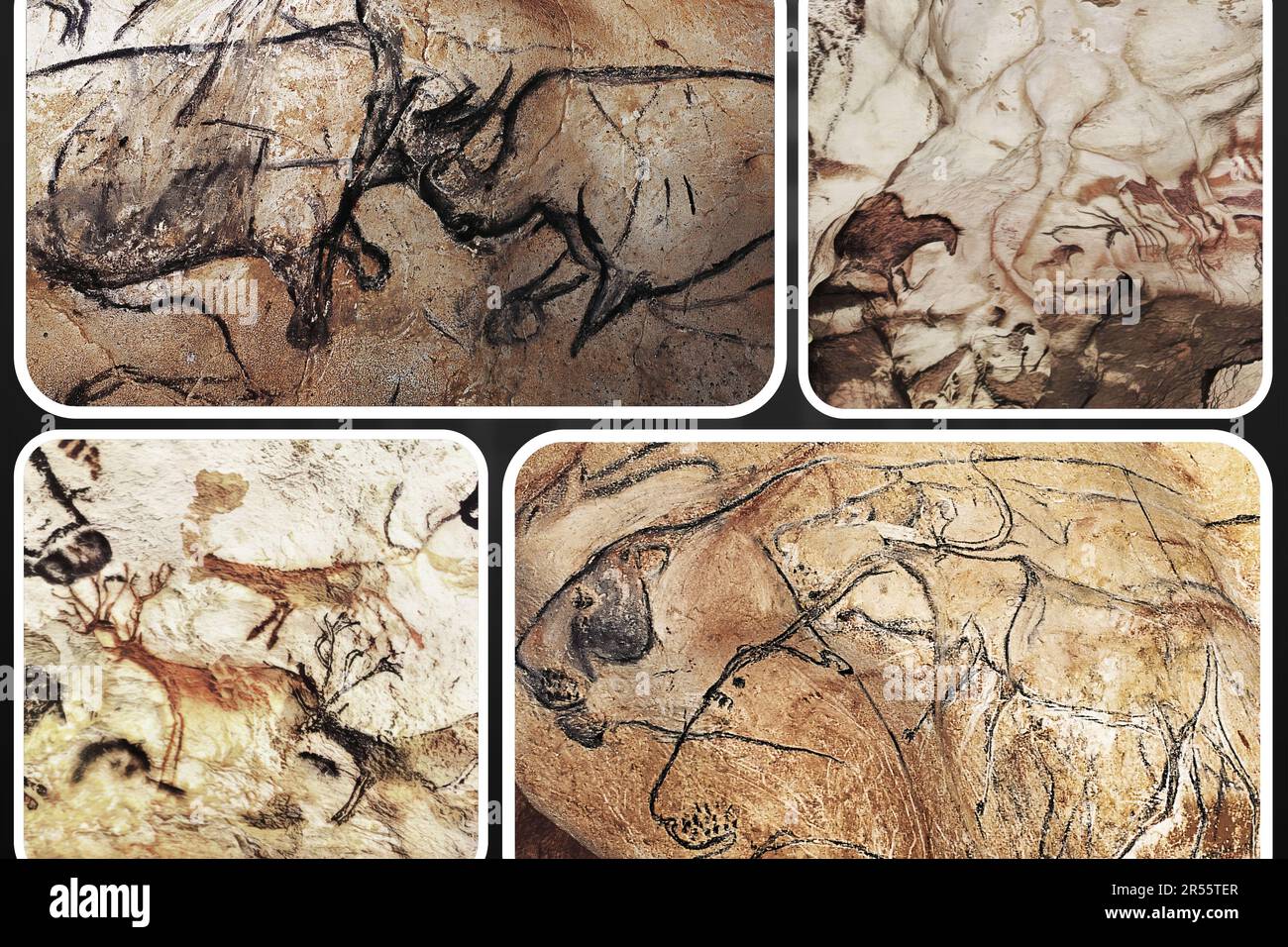 Arte murale paleolitica nella famosa Grotte Chauvet in Francia uno dei più importanti siti preistorici europei. Foto Stock