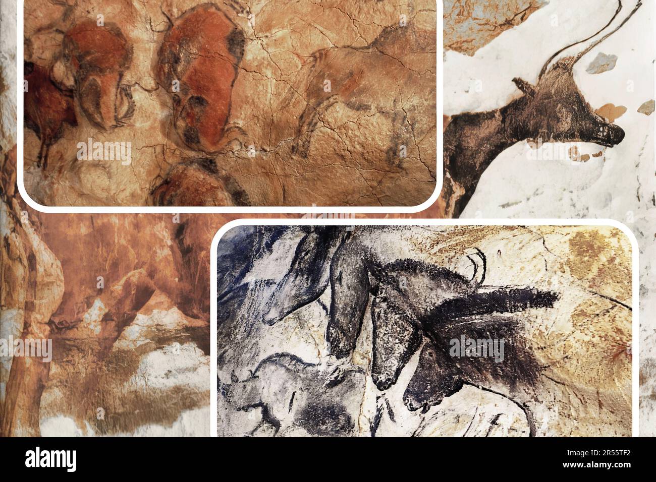 Arte murale paleolitica nella famosa Grotte Chauvet in Francia uno dei più importanti siti preistorici europei. Foto Stock