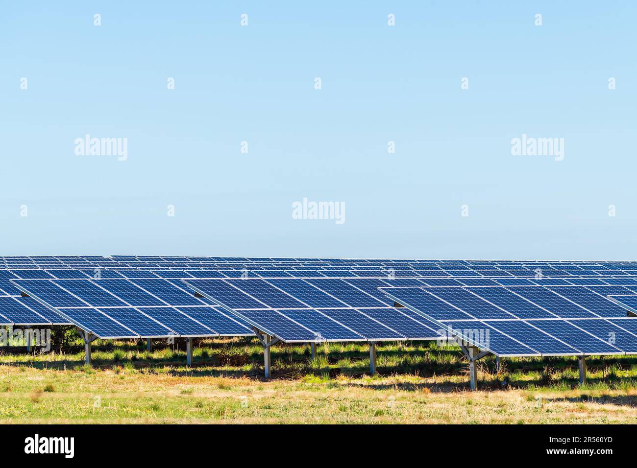 Fattoria di pannelli solari di nuova costruzione nell'area metropolitana di Adelaide, Australia Meridionale Foto Stock