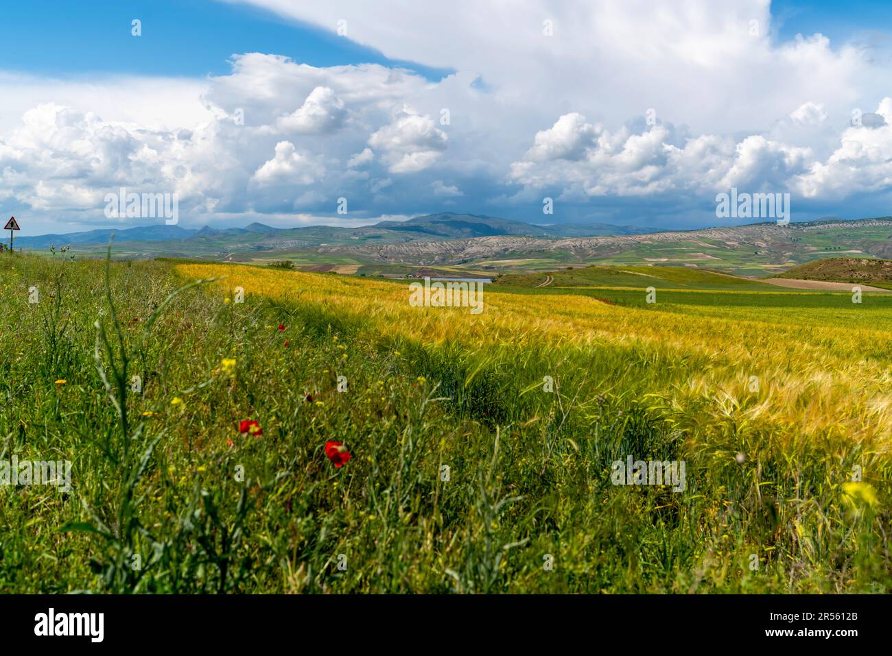 La natura intorno al Fiume Rosso (Kizilirmak in turco) un tempo conosciuto come Halys, Turchia Foto Stock