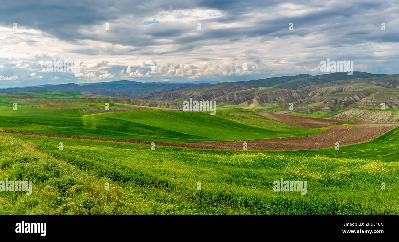 Coltivazione su terreni erosi, colture verdi e terreni a maggese nella Turchia centrale. Foto Stock