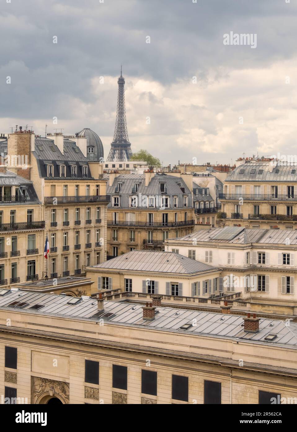 Edifici tradizionali e tetti della città con la Torre Eiffel in lontananza, Parigi, Francia Foto Stock