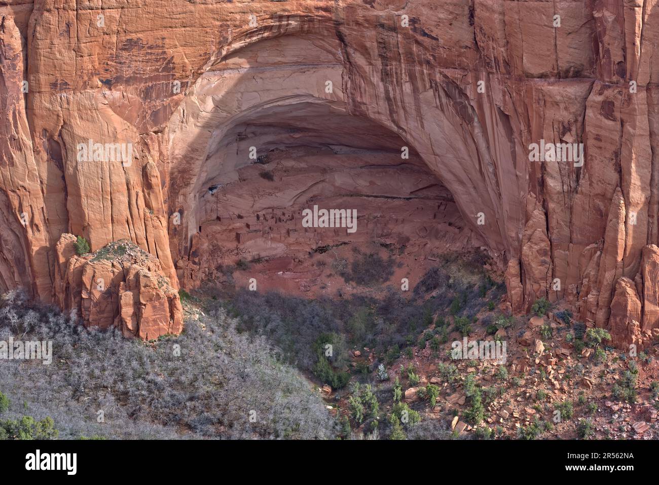 Rovine di Betatakin presso il Navajo National Monument vicino a Kayenta, Arizona, USA Foto Stock