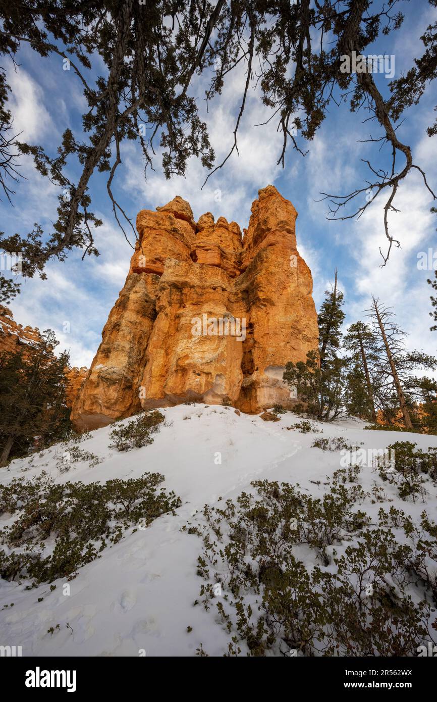 Rock hoodoos nella neve, Bryce Canyon National Park nella neve, Utah, USA Foto Stock