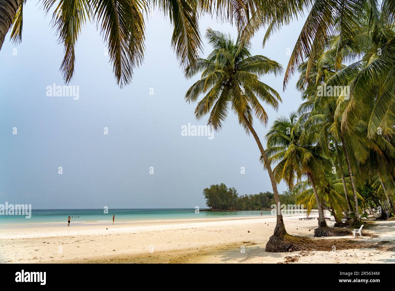 Am Strand Klong Hin Beach, Insel Ko Kut oder Koh Kood im Golf von Thailandia, Asien | Klong Hin Beach, Ko Kut o Koh Kood, isola nel Golfo di Tha Foto Stock