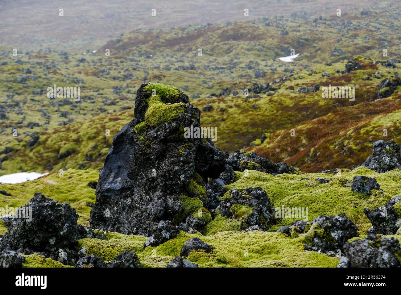 Primo piano di una formazione rocciosa coperta di muschio, Islanda Foto Stock
