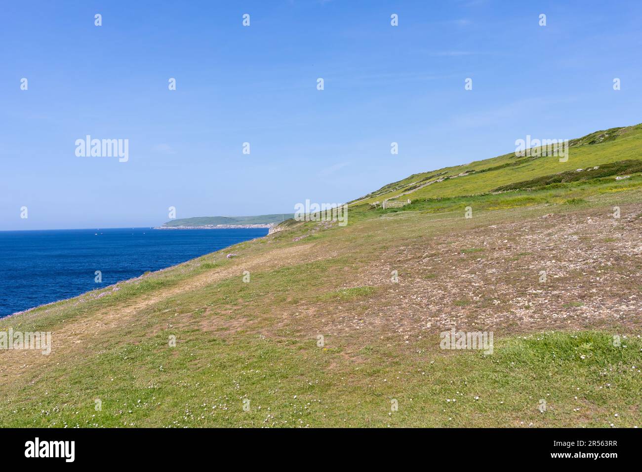 Durlston Country Park a Anvil Point. Dorset, Inghilterra, Regno Unito Foto Stock