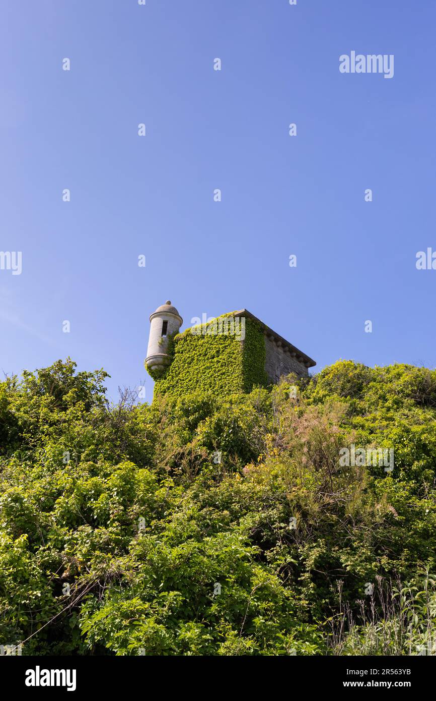 Vista dal basso del castello di Durlston vicino a Swanage, Dorset, Inghilterra, Regno Unito Foto Stock