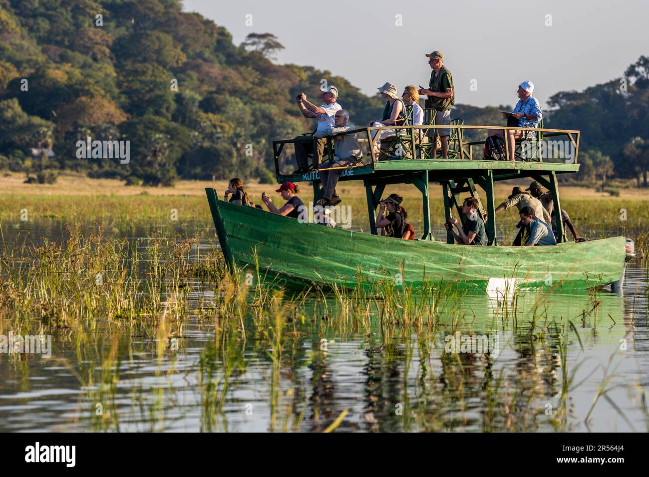 Gli ospiti del Kutchire Lodge osservano e fotografano la riva del fiume durante un'escursione in barca serale sul fiume Shire nel parco nazionale di Liwonde, Malawi; da qui si possono avvistare elefanti che si bagnano, ippopotami e coccodrilli, oltre a uccelli. La loro barca da escursione verde è ancorata tra le canne sull'acqua calma. Foto Stock