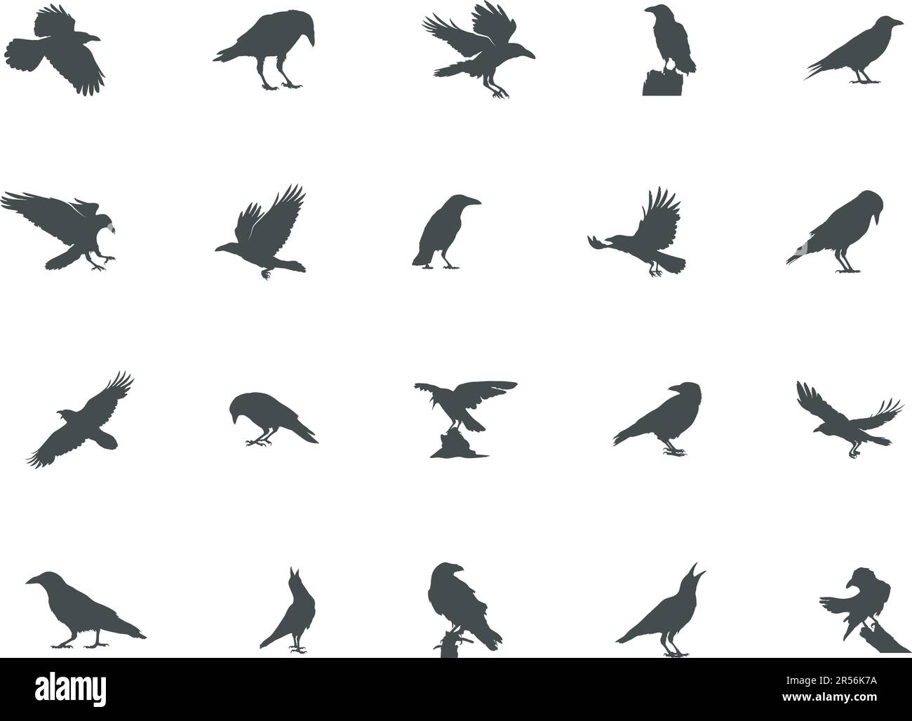 Silhouette Raven, silhouette Crow, silhouette Crow e Raven, illustrazione vettore Crow Illustrazione Vettoriale