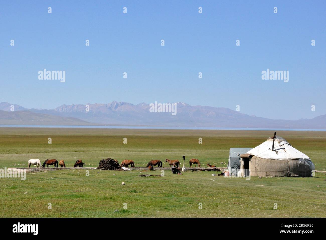 Kirghizistan. Canzone Kul lago. yurt Foto Stock