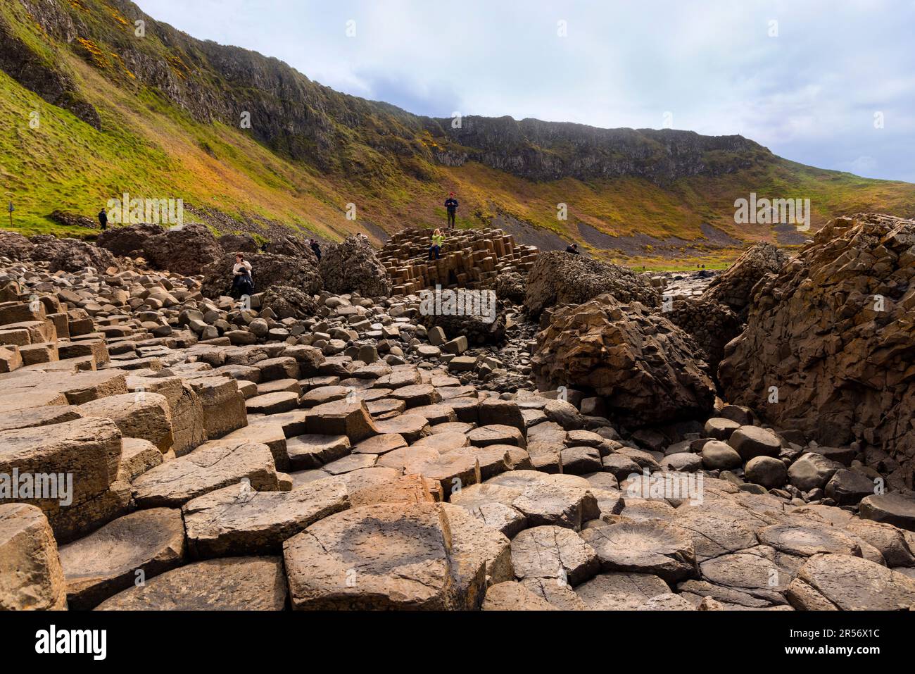 Giant's Causeway, Bushmills, County Antrim, Irlanda del Nord, un famoso sito patrimonio dell'umanità dell'UNESCO. Foto Stock