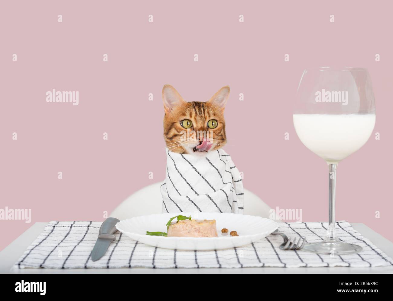 Un gatto gourmet al tavolo lecca le labbra, accanto a una ciotola di cibo umido. Alimentazione degli animali domestici. Spazio di copia. Foto Stock