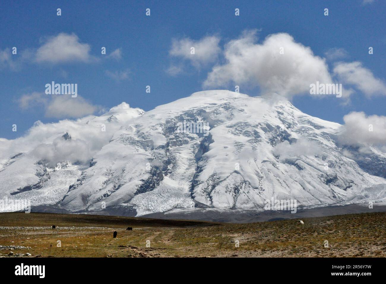 Cina. Xinjiang. Regione di Pamir. Muztagh ATA Foto Stock