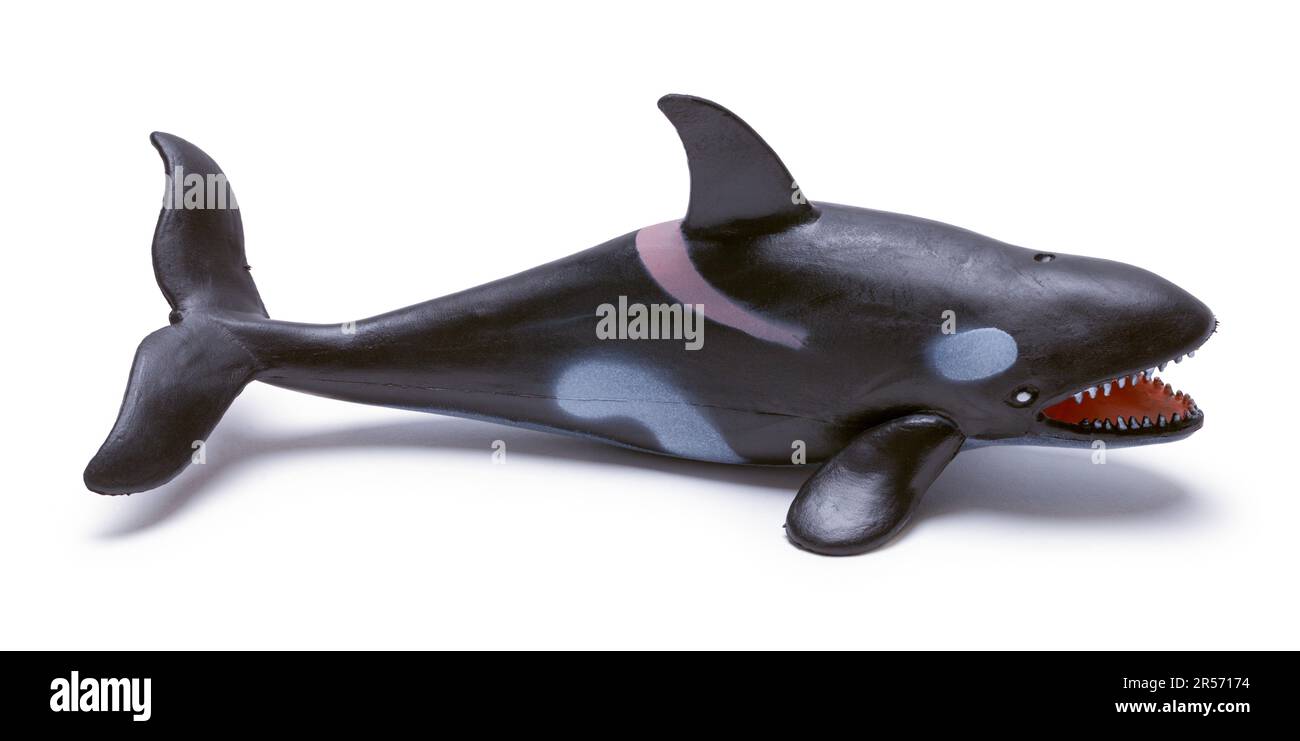 Killer Whale Toy taglio su bianco. Foto Stock