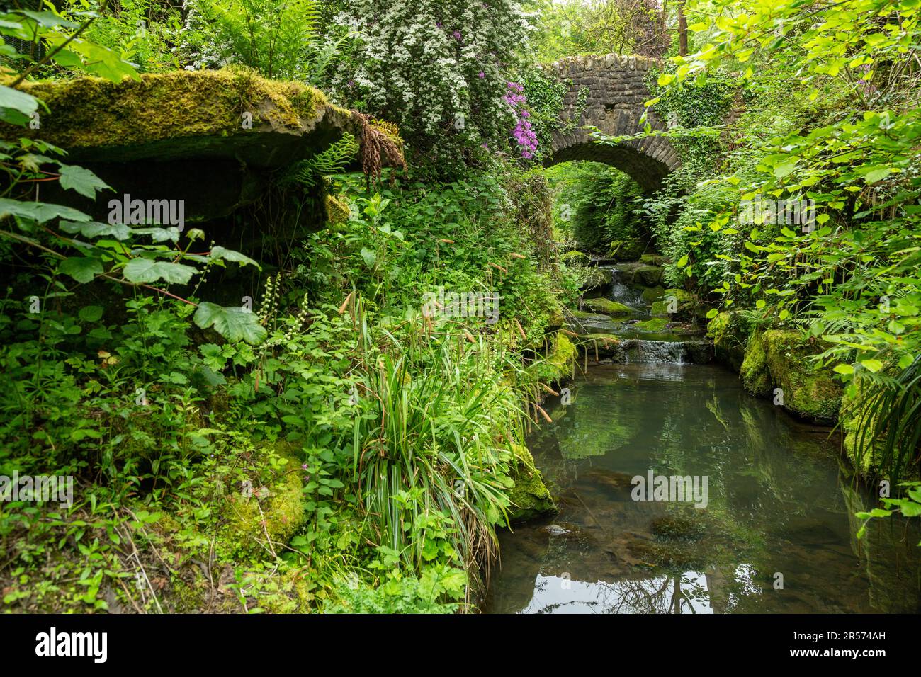 Lush Foliage Dunfermline Glen, Pittencrieff Park, Dunfermline, Fife, Scozia Foto Stock