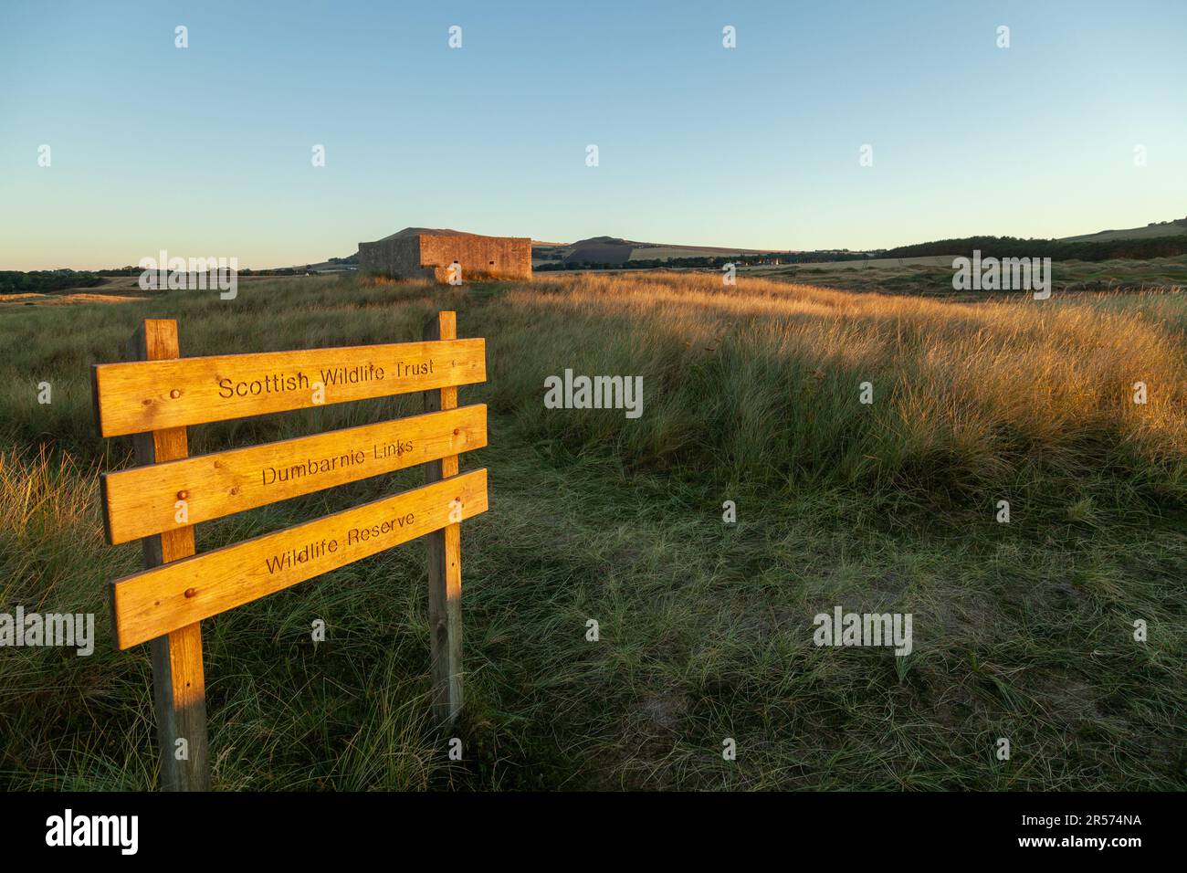 Sunrise at Scottish Wildlife Trust Dumbarnie collega la riserva naturale nei pressi di Largo, Fife, Scozia Foto Stock