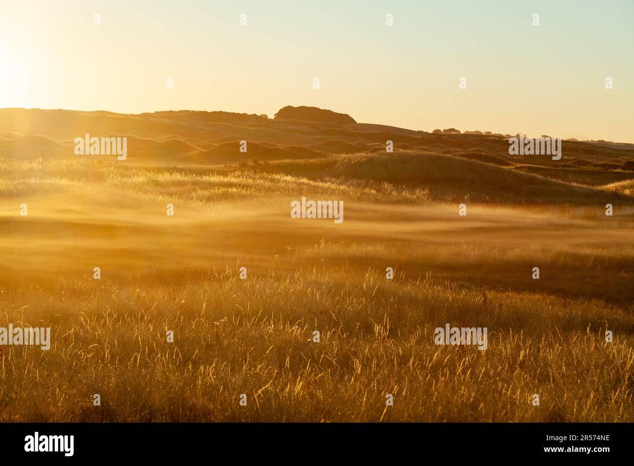 Bassa nebbia sul campo allo Scottish Wildlife Trust Dumbarnie Links riserva naturale nei pressi di Largo, Fife, Scozia Foto Stock
