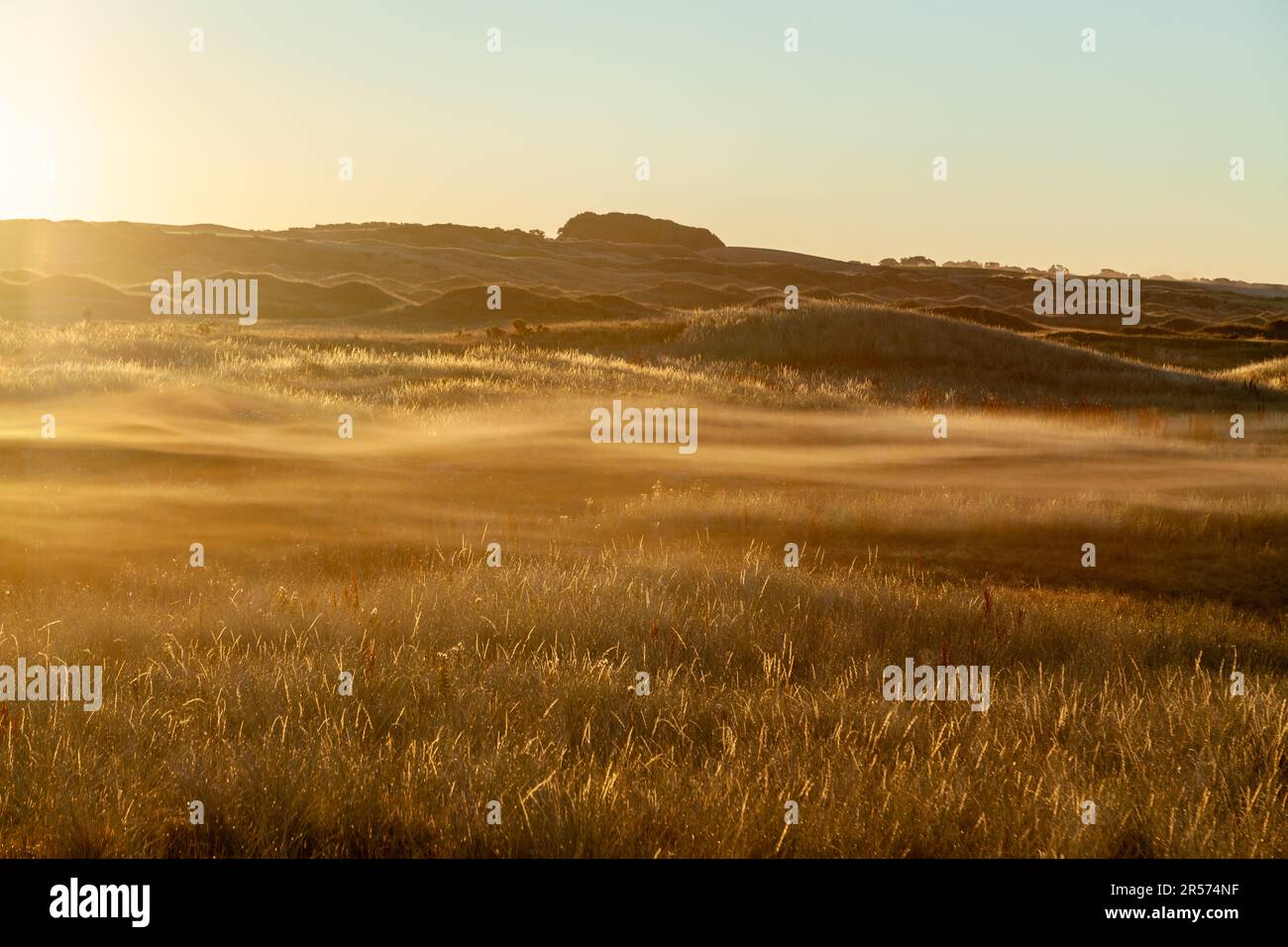 Bassa nebbia sul campo allo Scottish Wildlife Trust Dumbarnie Links riserva naturale nei pressi di Largo, Fife, Scozia Foto Stock