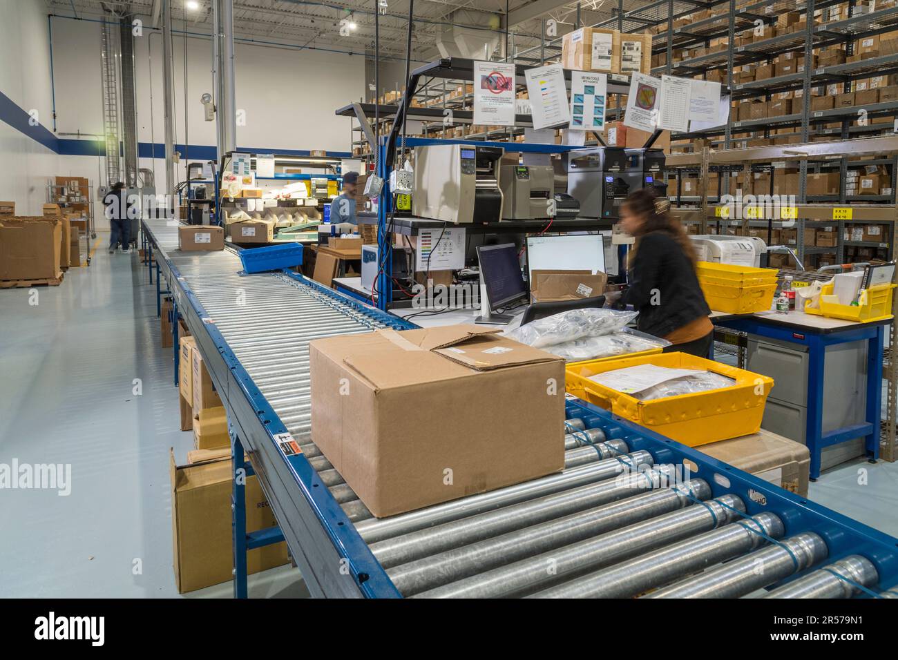 Lavoratori imballaggio scatole nel reparto di spedizione del magazzino del produttore, New Jersey USA Foto Stock