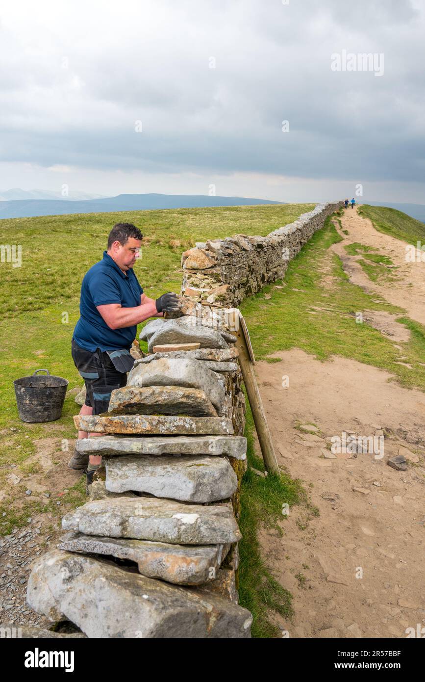Volontari e ranger del parco che mantengono i sentieri e le pareti di pietra a secco in cima a Whenside, una delle tre vette dello Yorkshire. Foto Stock