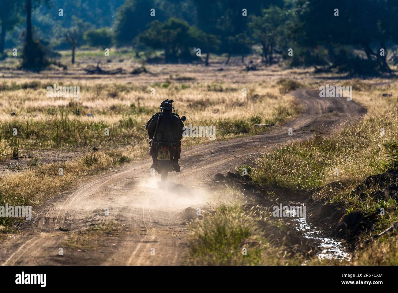 Due ranger armati guidano una moto attraverso la polvere turbinante nel Parco Nazionale di Liwonde, Malawi; fanno parte di oltre 60 ranger che proteggono il parco dal bracconaggio. Foto Stock
