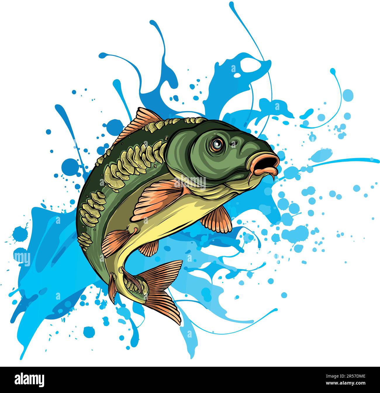 Carpa Fish Vector Illustration.Common Carp Illustration. Isolato su sfondo bianco. Illustrazione Vettoriale