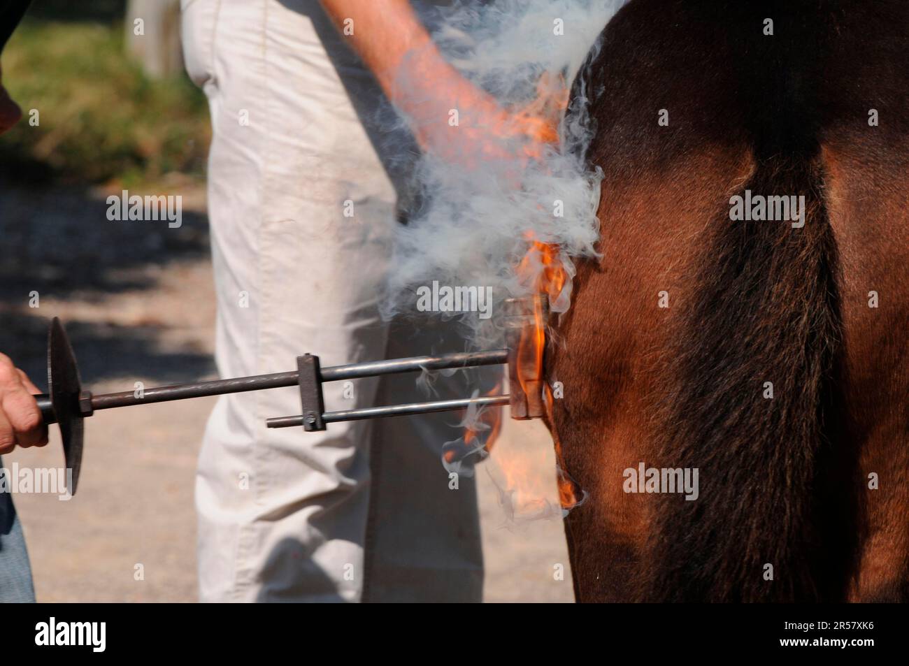 Hot brand, il nemico viene marchiato, il ferro da stiro, il calore, il francobollo Foto Stock