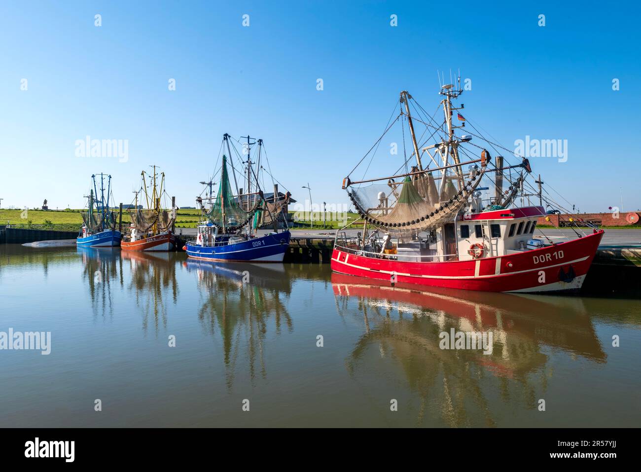 Taglierina di gamberetti nel porto di taglio di Dorum-Neufeld, comune di Wurster costa del Mare del Nord, distretto di Cuxhaven, bassa Sassonia Wadden Sea National Foto Stock