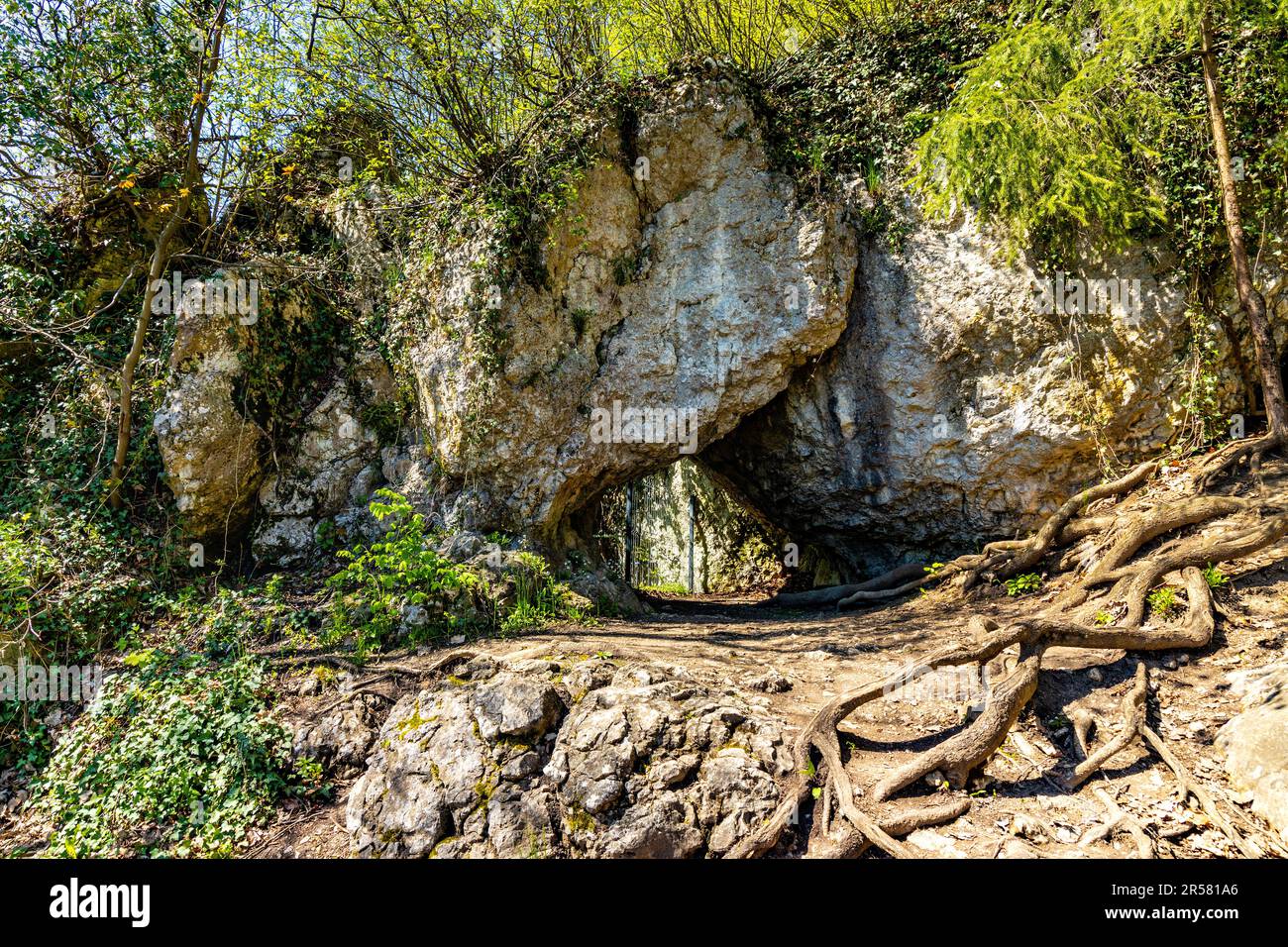 Caverna dei pipistrelli di pietra calcarea Jaskinia Nietoperzowa conosciuta per le specie multiple dei pipistrelli nidificanti nel villaggio di Jerzmanowice nella valle di Bedkowska vicino a Cracovia in Polonia Foto Stock