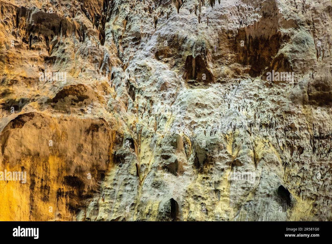 Caverna dei pipistrelli di pietra calcarea Jaskinia Nietoperzowa conosciuta per le specie multiple dei pipistrelli nidificanti nel villaggio di Jerzmanowice nella valle di Bedkowska vicino a Cracovia in Polonia Foto Stock