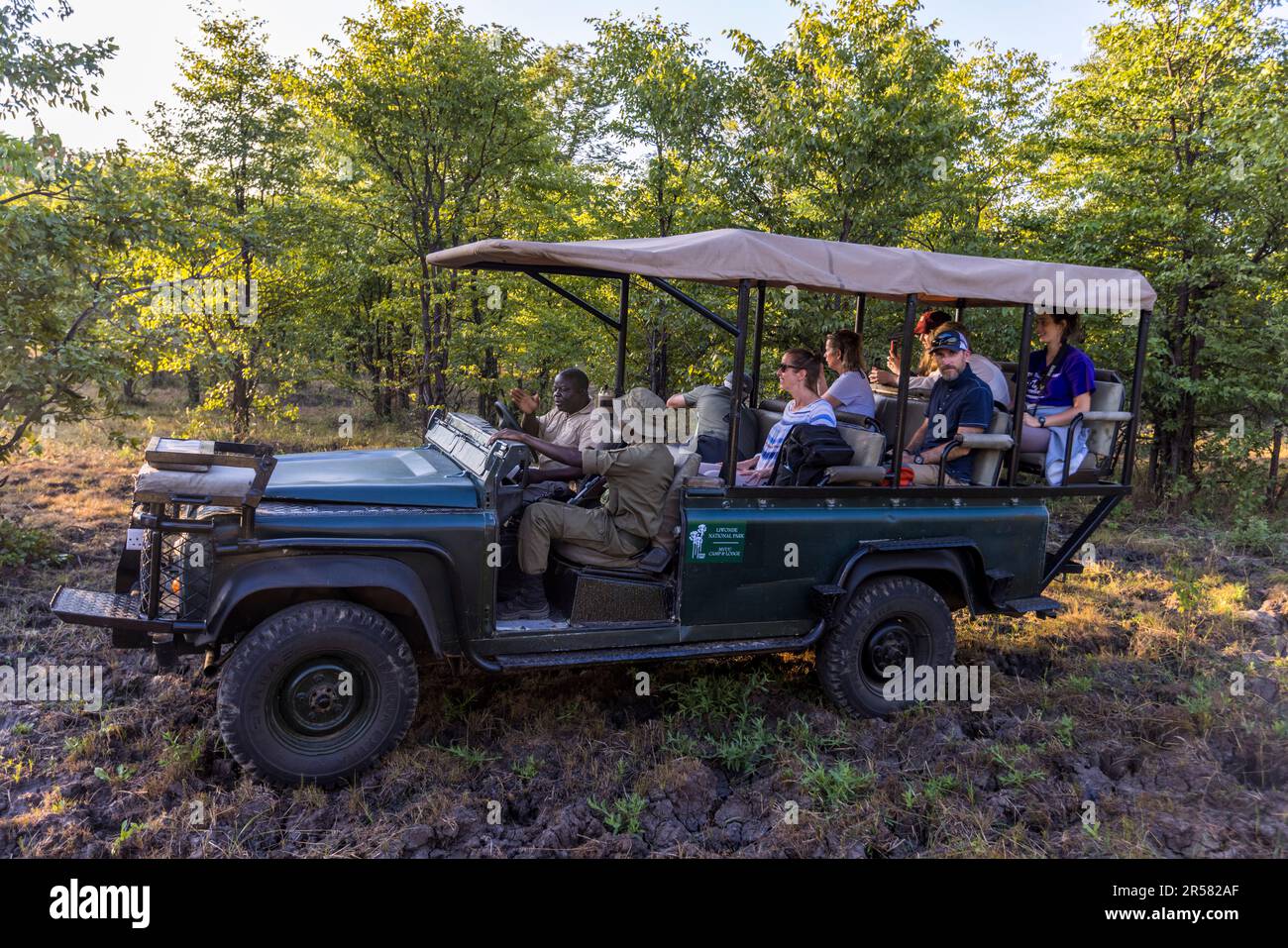Con i veicoli da safari aperti, potrai avvicinarti agli animali selvatici durante il safari nel Parco Nazionale di Liwonde del Malawi Foto Stock