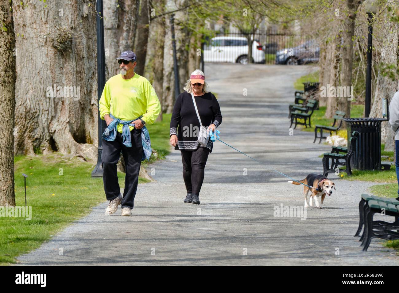 Coppia che cammina il proprio cane nei Giardini pubblici di Halifax, anche se non permesso Foto Stock
