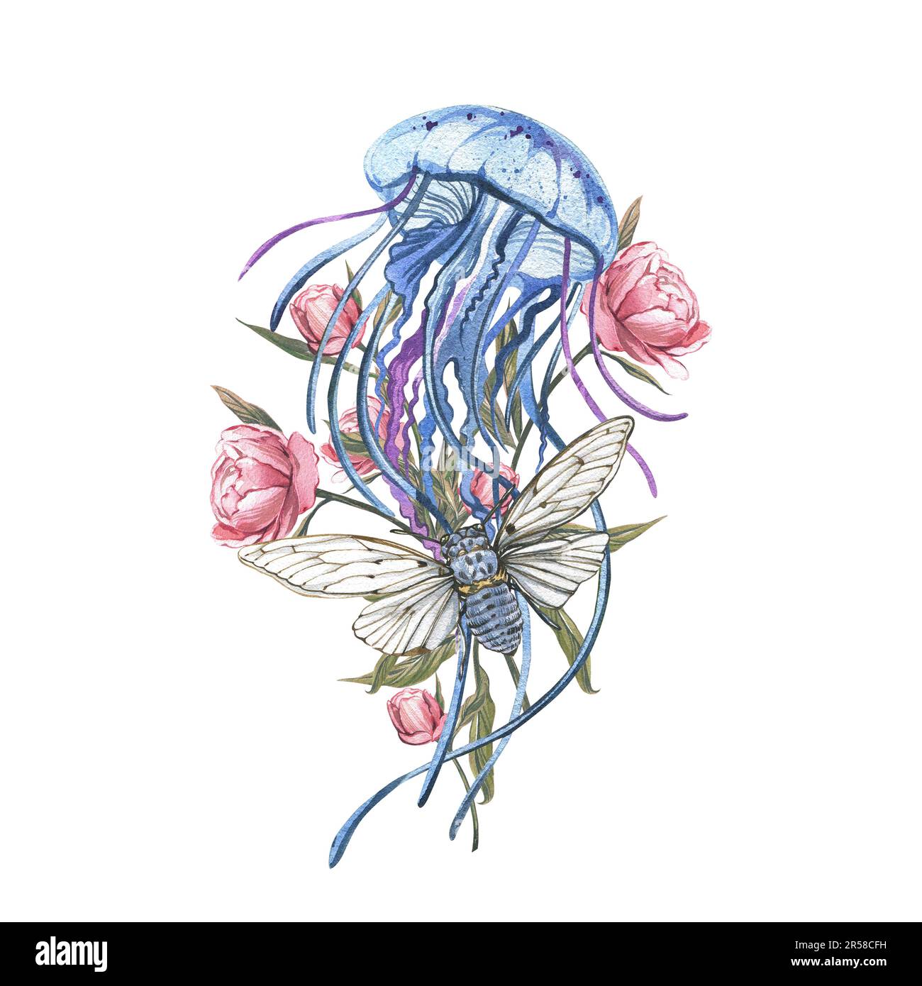 Meduse blu, cicada e fiori di peonia rosa e germogli e foglie isolati su sfondo bianco. Illustrazione dello schizzo disegnata a mano con acquerello. Arte per des Foto Stock