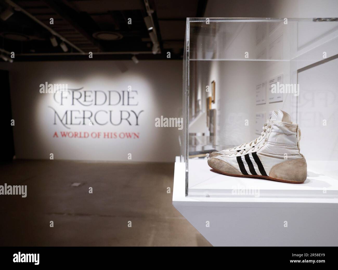 Adidas indossate da freddie mercury outlet