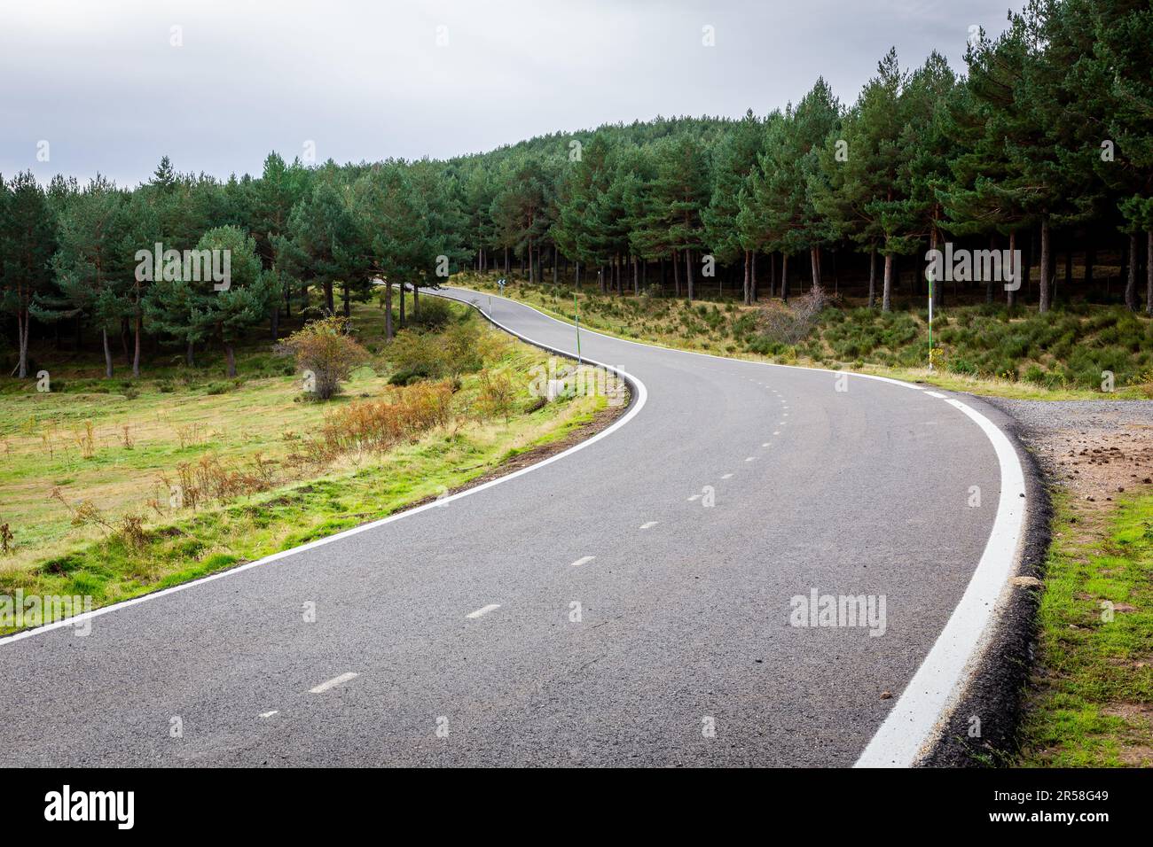 Tortuosa strada asfaltata M-611 attraverso la pineta nel Parco Regionale Cuenca alta del Manzanares, Spagna Centrale. Foto Stock