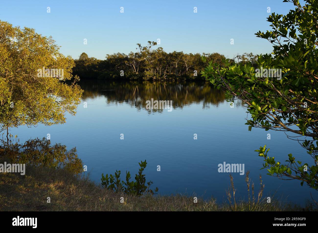 Un ampio scatto di una sezione del fiume South Pine, Bald Hills, Queensland, Australia alla luce del sole della mattina presto, guardando verso ovest verso un cielo blu chiaro Foto Stock