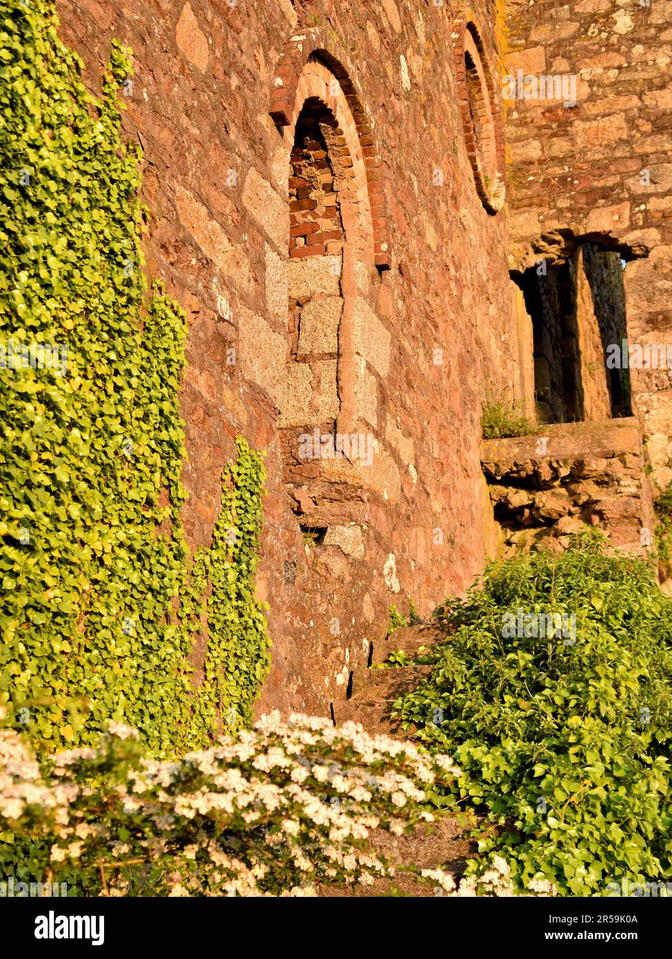 Vecchie rovine di edifici minerari di Wheal frances al tramonto Foto Stock